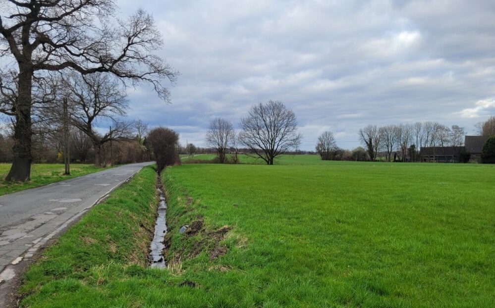 Die Brechtener Niederung - ein 85 Hektar große Gelände - soll ein Gewerbegebiet werden.