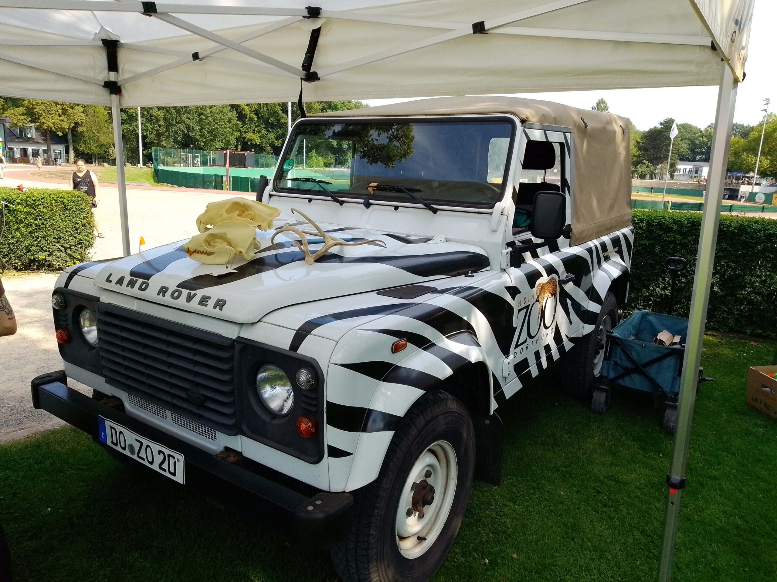 Der Dortmunder Zoo kreuzte mit einem Land Rover im Zebrastreifen-Motiv auf.