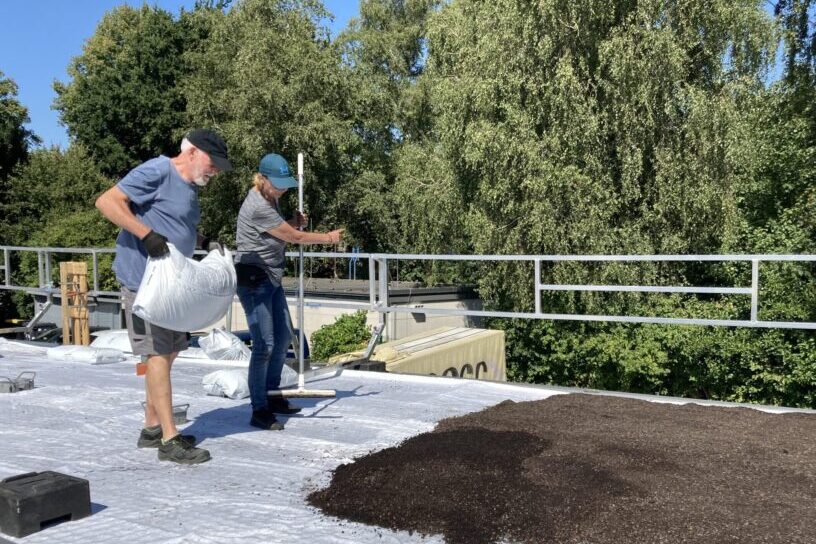 Freiwillige beim Aufstreuen und Verteilen des Substrats auf dem Dach.