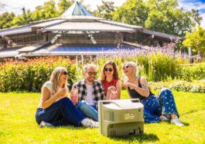 Personengruppe schaut auf der Wiese mit Popcorn einen Film