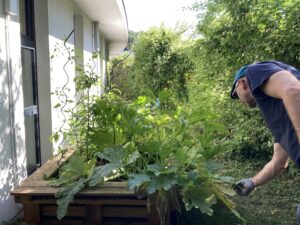 Urban Gardening am Haus Oberfeld.