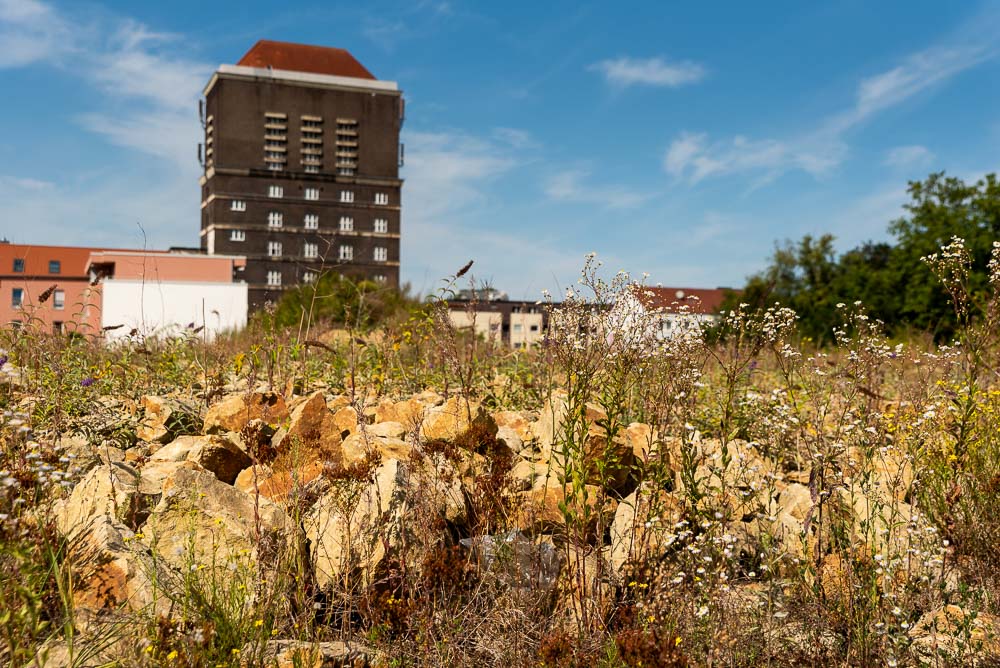 Alte Industrie umgeben von wilder Natur – der Wasserturm thront über dem Gelände.