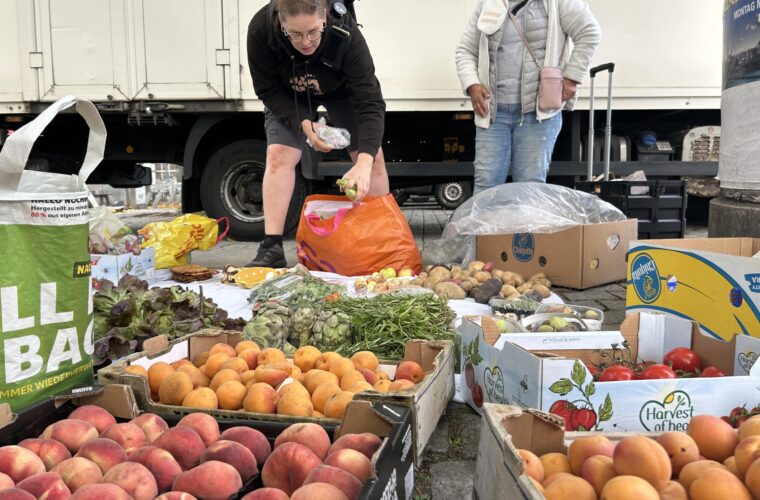 Mengen an gerettetem Gemüse liegen auf dem Boden verteilt, während die Ehrenamtlichen die Kisten sortieren.