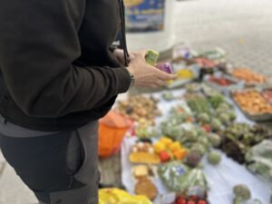 Hände, die Gemüse in der Hand halten. 