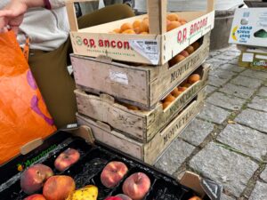 Kisten gefüllt mit Obst.
