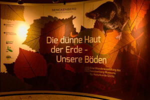 Bild zeigt Überschriften der Ausstellung