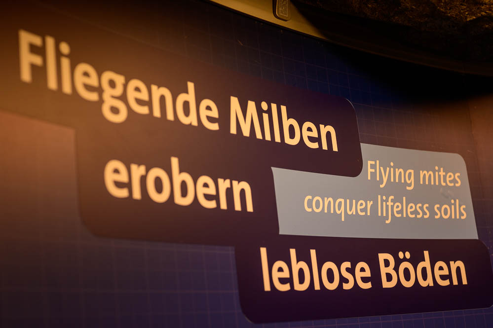 Bild zeigt Überschriften in der Ausstellung