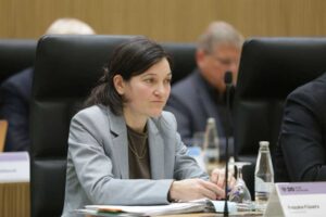Frauke Füsers in der Ratssitzung