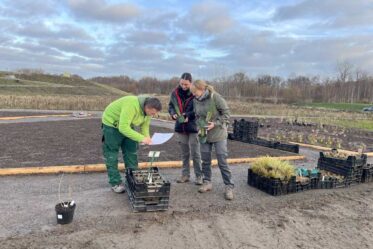 Staudengarten im Kokereipark