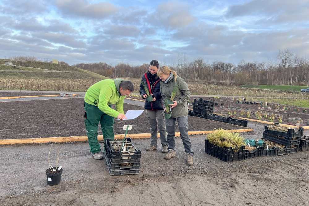 Blick auf die neuen Beete