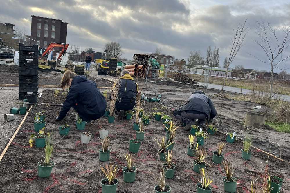 Blick auf die neuen Beete
