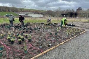 Blick auf die neuen Beete