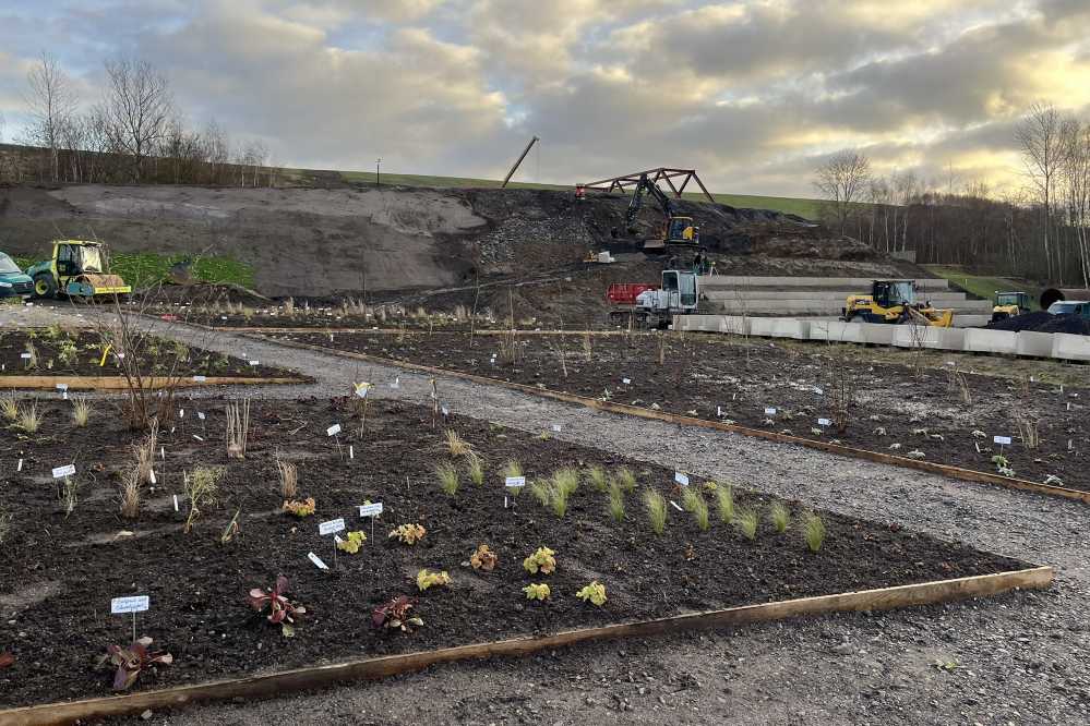 Blick auf die neuen Beete