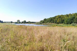Blick ins Naturschutzgebiet