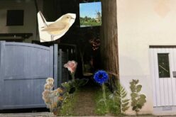 Ergebnisse des Fotografie-Workshops „Angst-Orte – Wunsch-Orte“