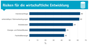 Grafik über Risikofaktoren von wirtschaftlicher Entwicklung