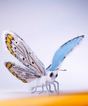 Schmetterling Modell