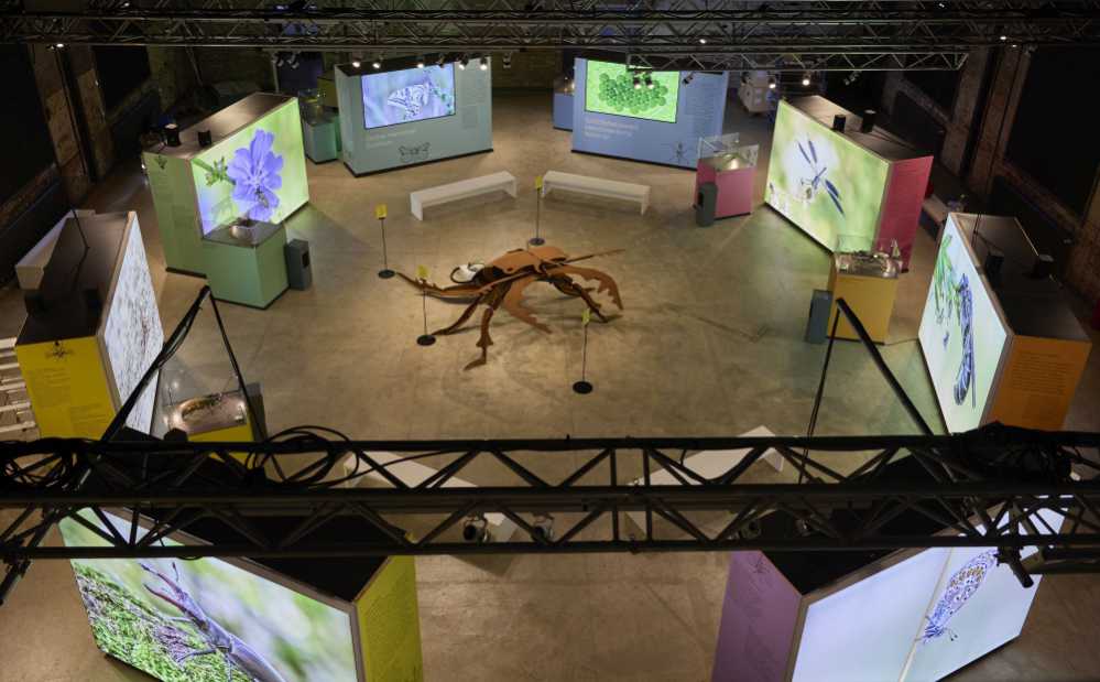 Blick in die Ausstellung