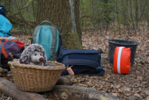Rucksäcke auf dem Waldboden, davor in einem Korb ein Kuscheltier-Igel, der in die Gegend schaut.