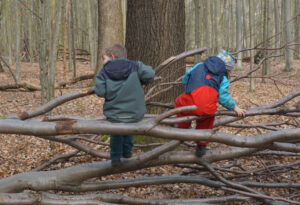 Zwei Kinder von hinten auf einem Geflecht aus Ästen sitzend.