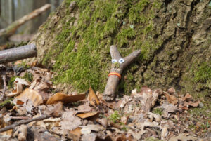 Der Hase ist aus einem Stock, mit Augen beklebt. Seine Nase ist aus Moos und als Verzierung trägt er ein rotgelbes Gummi.