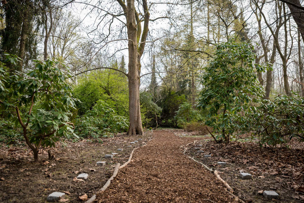Blick auf die Grabfläche