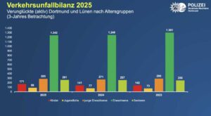 Diagramm zu Verkehrsunfällen