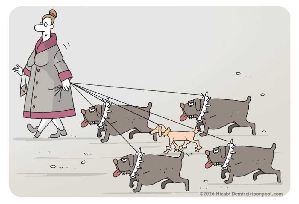 Cartoon mit tierisch witzige Hunde- und Katzenmotive