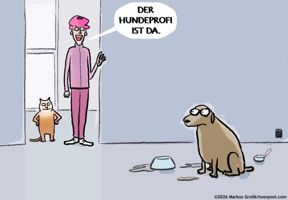 Cartoon mit tierisch witzige Hunde- und Katzenmotive