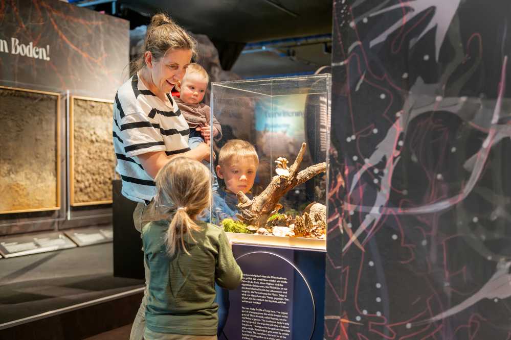 Blick in die Ausstellung