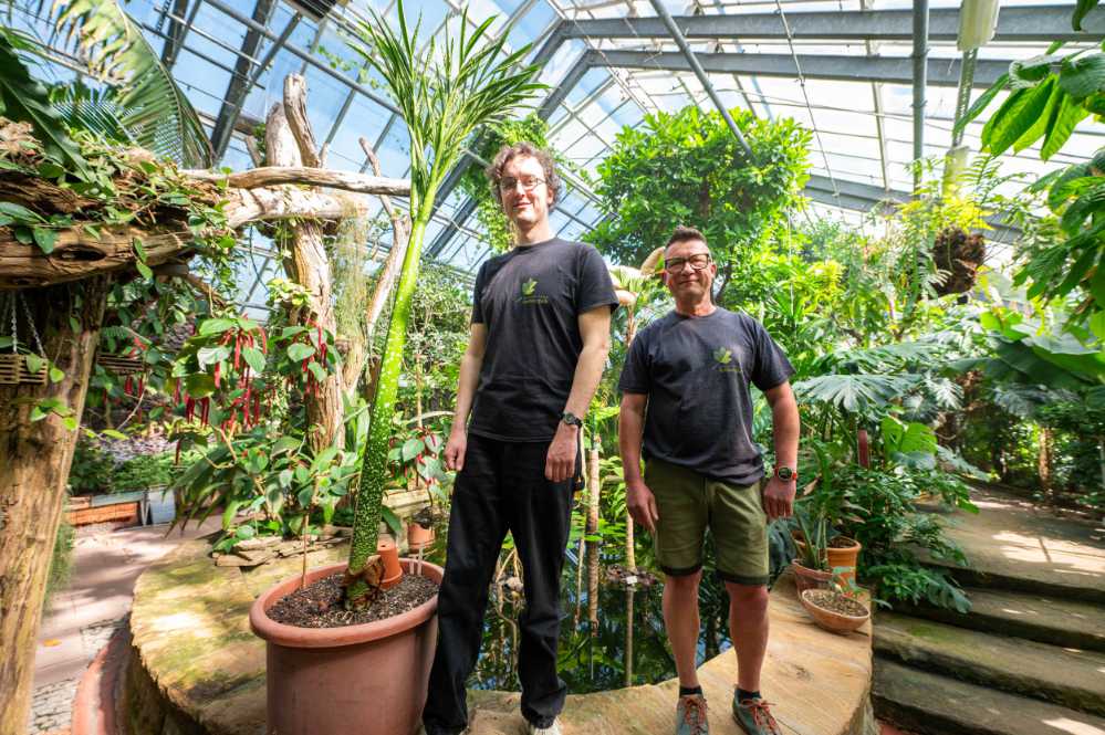 Blick ins Pflanzenschauhaus