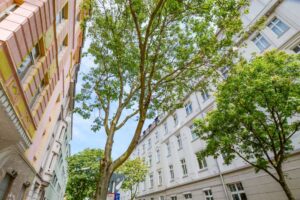 Blick auf architektonisch wertvolle Fassaden