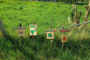 Blick auf Beet mit Schildern für Erdnuss, Tabak, Wassermelone und Orangen
