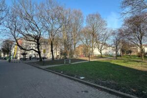 Blick auf die Grünfläche