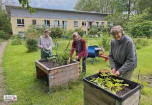 Drei Frau stehen auf einer großen Grünfläche an zwei Hochbeeten.