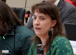 Anna Flacke (Grüne & Volt)