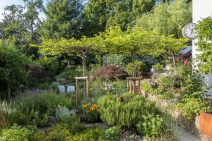 Blick in einen Garten