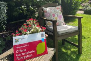Blick in einen Garten