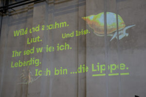 Bild zeigt: Projektion an die Wand.