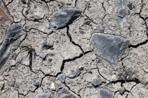 Trockenheit