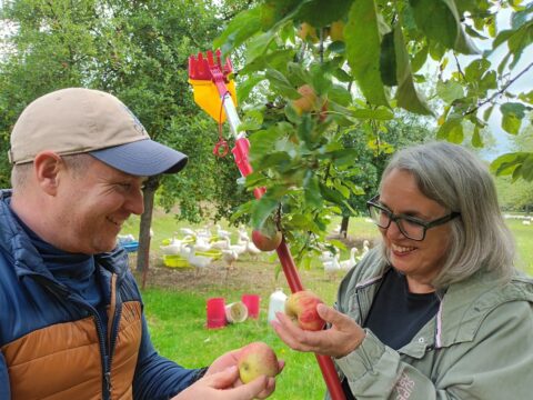 Helfende Hände gesucht: Gemeinsame Apfelernte am AWO Schultenhof – Teile der Ernte für Dortmunder Tafe