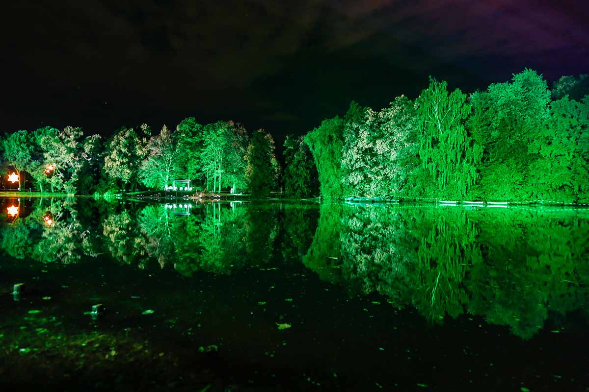 Spiegelungen von belichteten Bäumen im See.