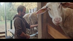 Filmausschnitt Landwirt mit einem Schaf.
