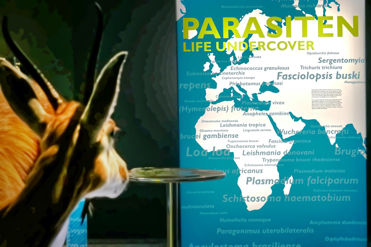 Lichtsäule mit der Aufschrift Parasiten Life Undercover