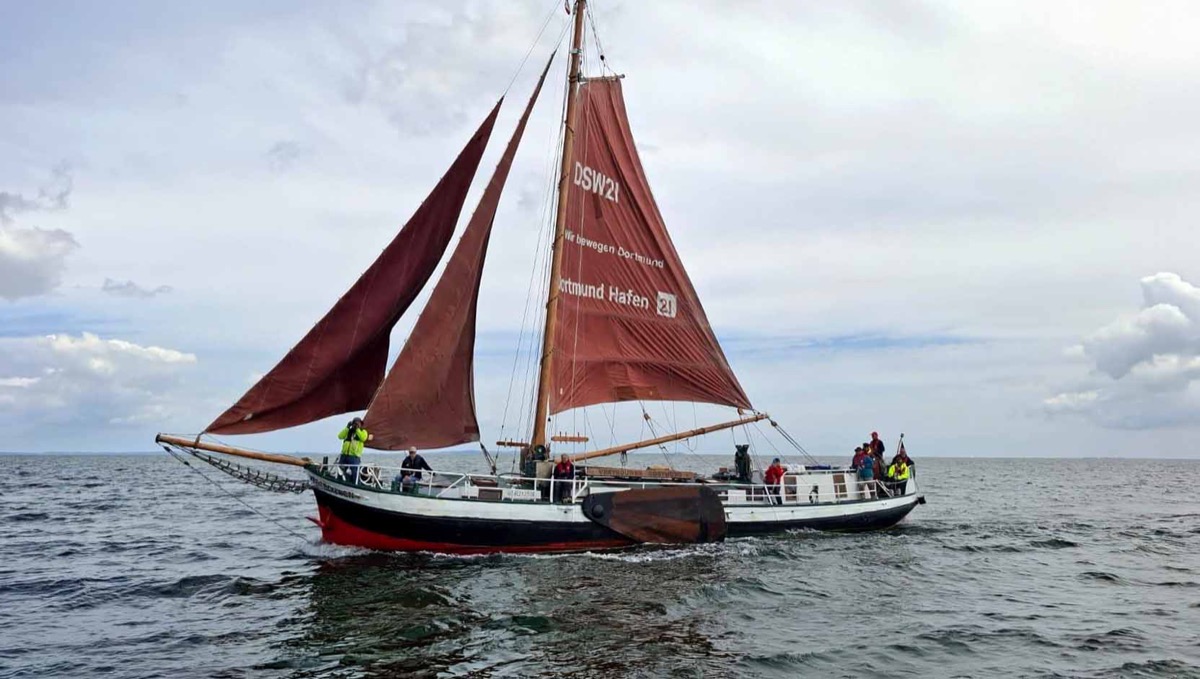 Ansicht des Segelschiffs auf dem Meer