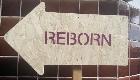 reborn_12